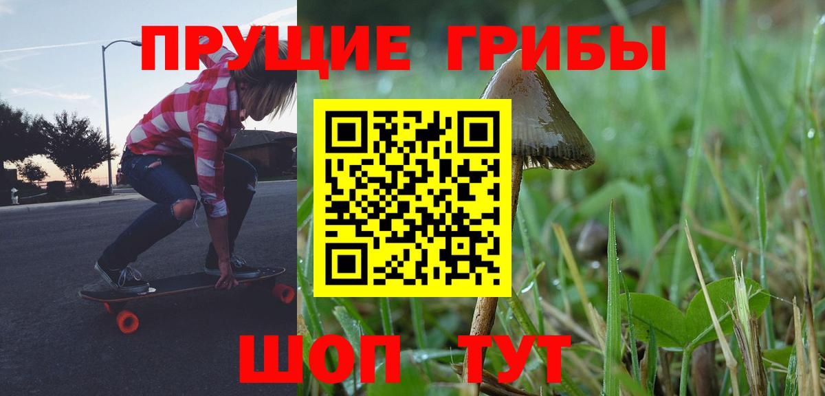 Губкинский  Галлюциногенные грибы Magic Shrooms  Вход с VPN 